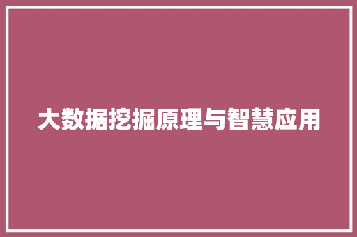 大数据挖掘原理与智慧应用