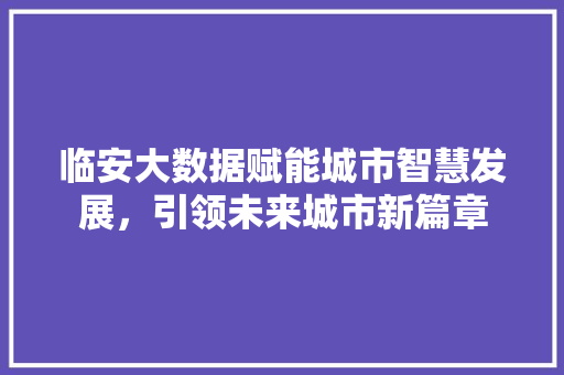 临安大数据赋能城市智慧发展，引领未来城市新篇章