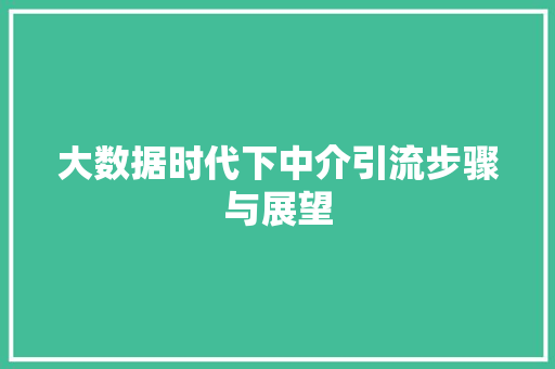 大数据时代下中介引流步骤与展望