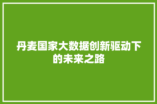 丹麦国家大数据创新驱动下的未来之路