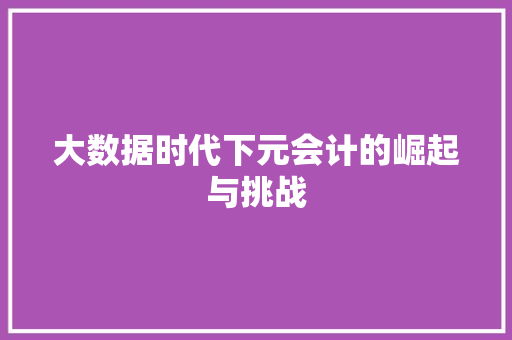 大数据时代下元会计的崛起与挑战  第1张