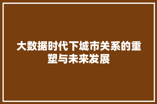 大数据时代下城市关系的重塑与未来发展  第1张