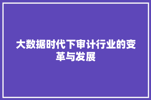 大数据时代下审计行业的变革与发展  第1张