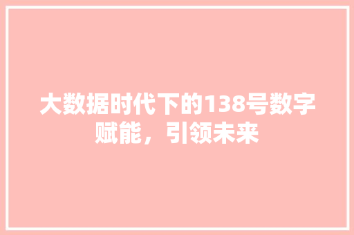 大数据时代下的138号数字赋能，引领未来  第1张