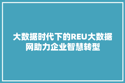 大数据时代下的REU大数据网助力企业智慧转型
