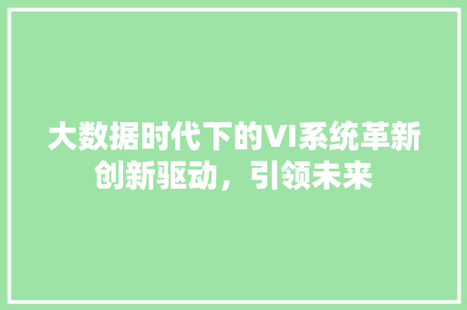 大数据时代下的VI系统革新创新驱动，引领未来  第1张