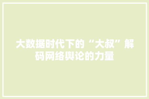 大数据时代下的“大叔”解码网络舆论的力量