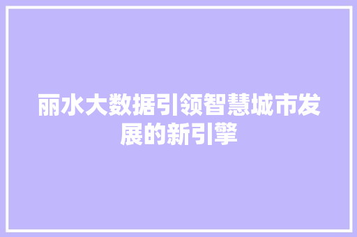 丽水大数据引领智慧城市发展的新引擎