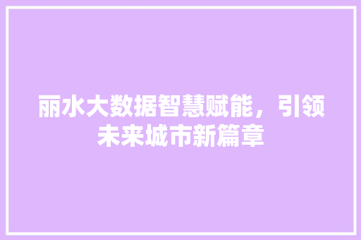 丽水大数据智慧赋能，引领未来城市新篇章