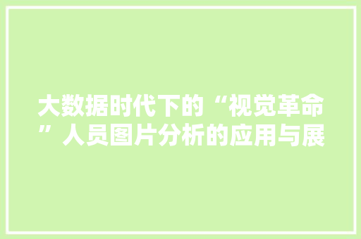 大数据时代下的“视觉革命”人员图片分析的应用与展望  第1张