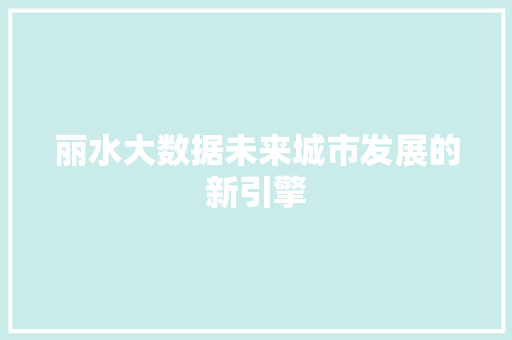 丽水大数据未来城市发展的新引擎