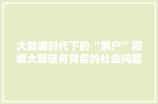大数据时代下的“黑户”困境大额债务背后的社会问题  第1张