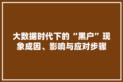 大数据时代下的“黑户”现象成因、影响与应对步骤  第1张