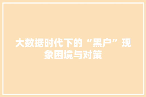 大数据时代下的“黑户”现象困境与对策  第1张