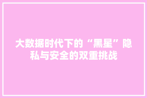 大数据时代下的“黑星”隐私与安全的双重挑战