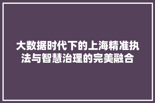 大数据时代下的上海精准执法与智慧治理的完美融合