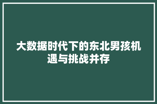 大数据时代下的东北男孩机遇与挑战并存