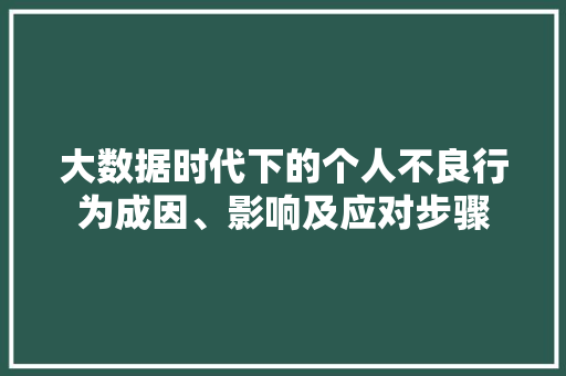 大数据时代下的个人不良行为成因、影响及应对步骤
