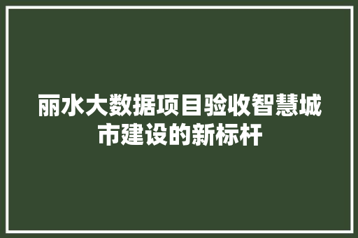 丽水大数据项目验收智慧城市建设的新标杆