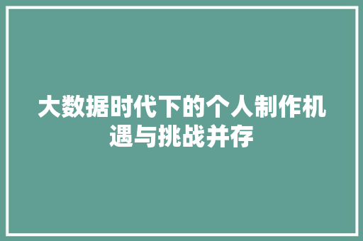 大数据时代下的个人制作机遇与挑战并存