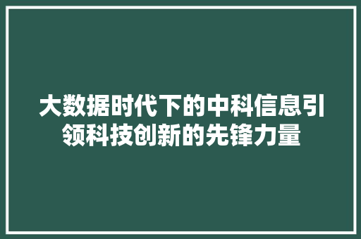 大数据时代下的中科信息引领科技创新的先锋力量