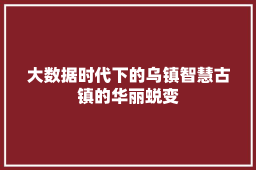 大数据时代下的乌镇智慧古镇的华丽蜕变