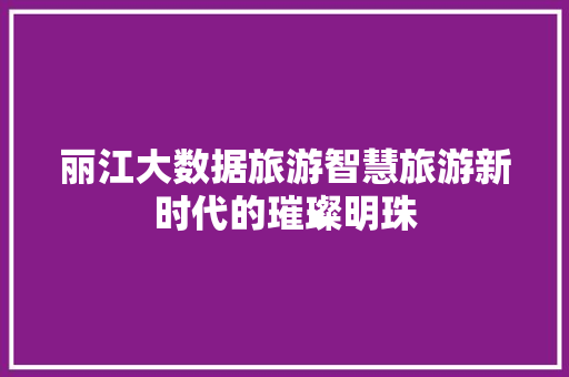 丽江大数据旅游智慧旅游新时代的璀璨明珠