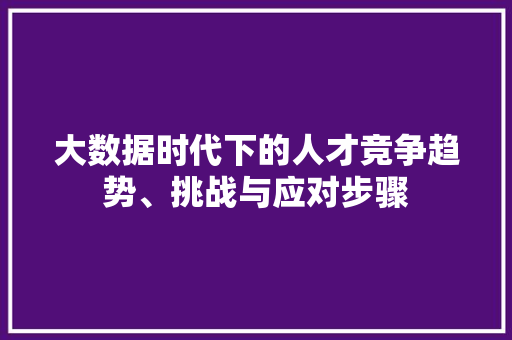 大数据时代下的人才竞争趋势、挑战与应对步骤  第1张