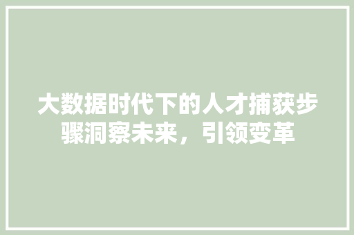 大数据时代下的人才捕获步骤洞察未来，引领变革  第1张