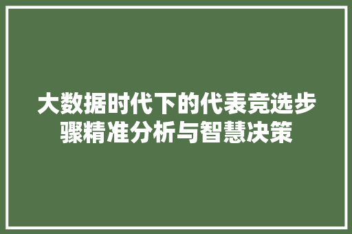 大数据时代下的代表竞选步骤精准分析与智慧决策  第1张