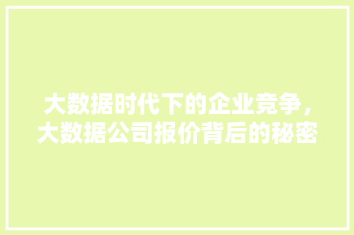 大数据时代下的企业竞争，大数据公司报价背后的秘密