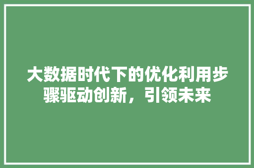 大数据时代下的优化利用步骤驱动创新，引领未来