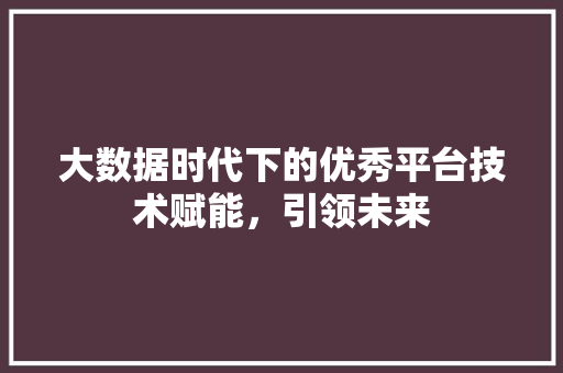 大数据时代下的优秀平台技术赋能，引领未来