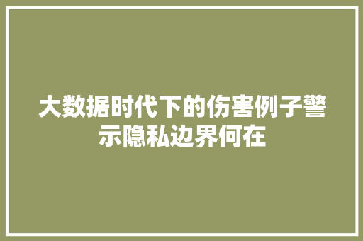 大数据时代下的伤害例子警示隐私边界何在