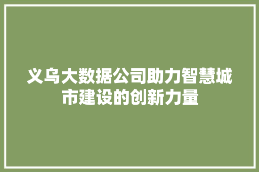 义乌大数据公司助力智慧城市建设的创新力量