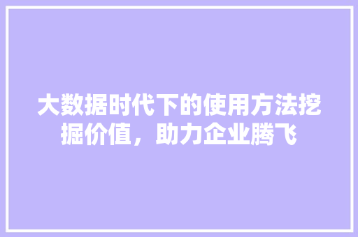 大数据时代下的使用方法挖掘价值，助力企业腾飞  第1张