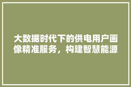 大数据时代下的供电用户画像精准服务，构建智慧能源未来