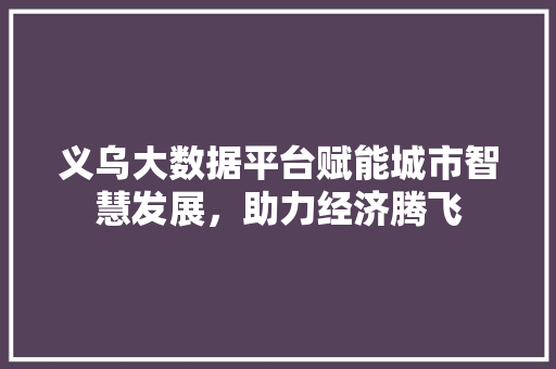 义乌大数据平台赋能城市智慧发展，助力经济腾飞