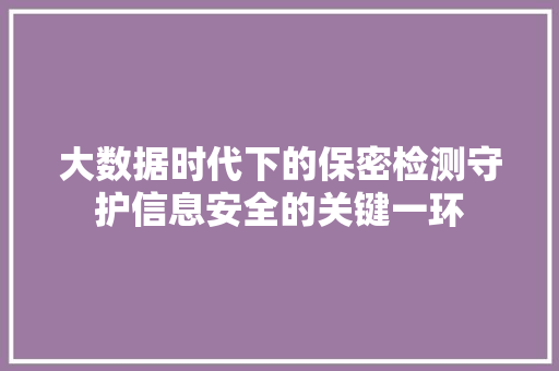 大数据时代下的保密检测守护信息安全的关键一环