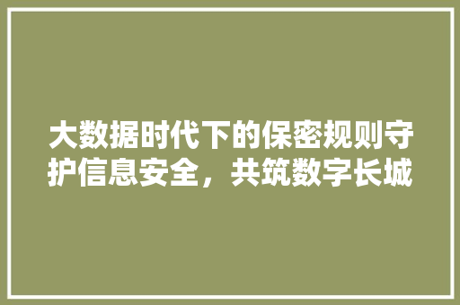 大数据时代下的保密规则守护信息安全，共筑数字长城