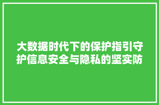 大数据时代下的保护指引守护信息安全与隐私的坚实防线  第1张