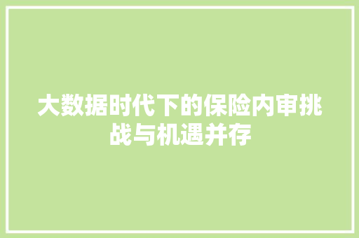 大数据时代下的保险内审挑战与机遇并存  第1张