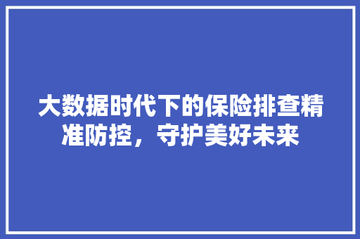 大数据时代下的保险排查精准防控，守护美好未来  第1张