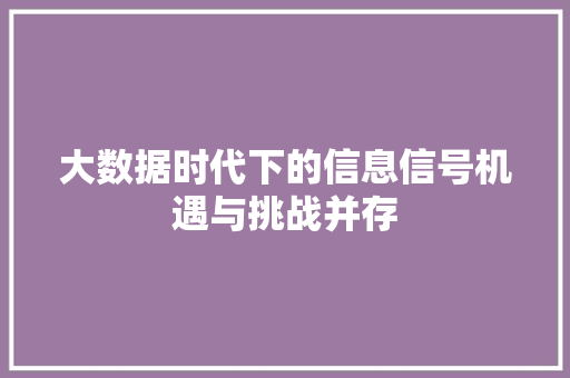 大数据时代下的信息信号机遇与挑战并存