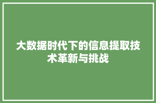 大数据时代下的信息提取技术革新与挑战  第1张