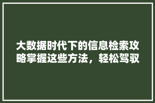 大数据时代下的信息检索攻略掌握这些方法，轻松驾驭海量数据