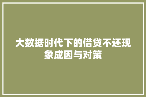 大数据时代下的借贷不还现象成因与对策