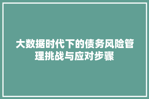 大数据时代下的债务风险管理挑战与应对步骤