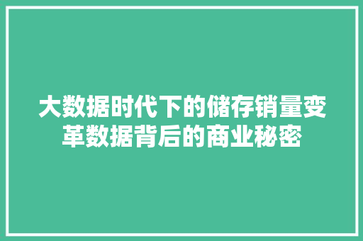 大数据时代下的储存销量变革数据背后的商业秘密
