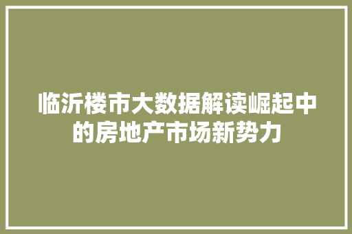 临沂楼市大数据解读崛起中的房地产市场新势力